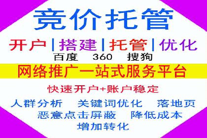 成功运用SEM服务实现品牌快速成长的案例